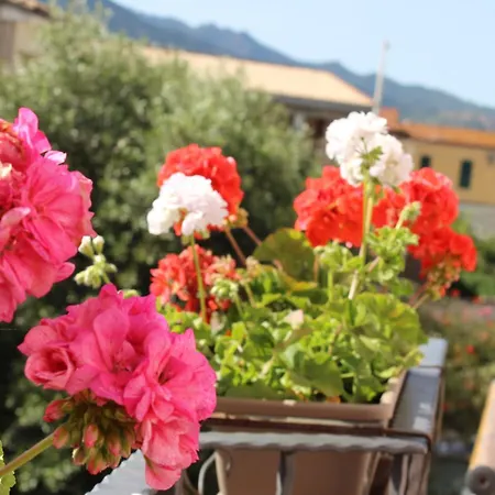 Bed & Breakfast Casa Lina 3*